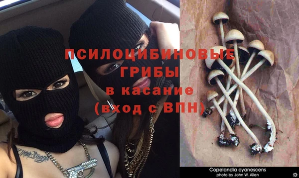 шишки Балахна