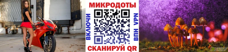 Псилоцибиновые грибы мухоморы  Каспийск 